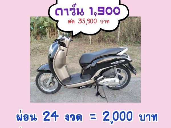 เก็บปลายทาง  Honda scoopy i สด-ผ่อน รูปที่ 0